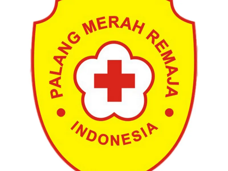 PMR